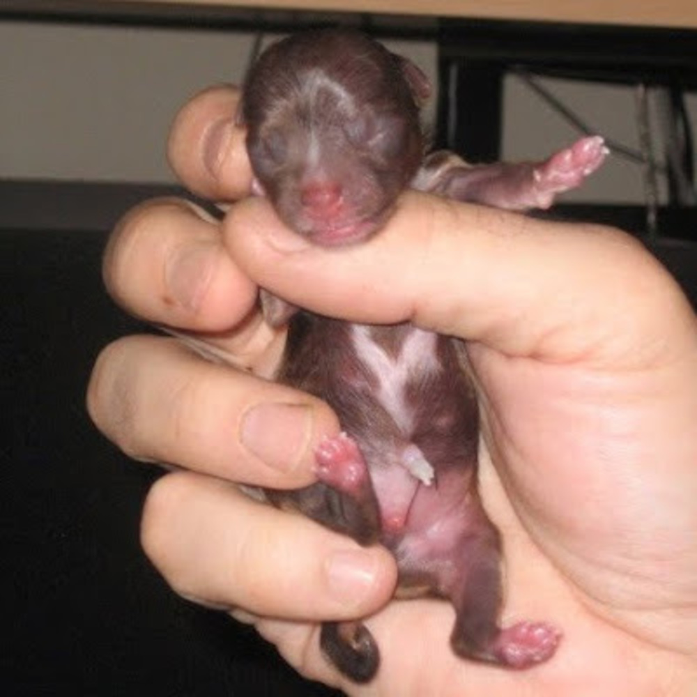 Meet your Posher, Tammy